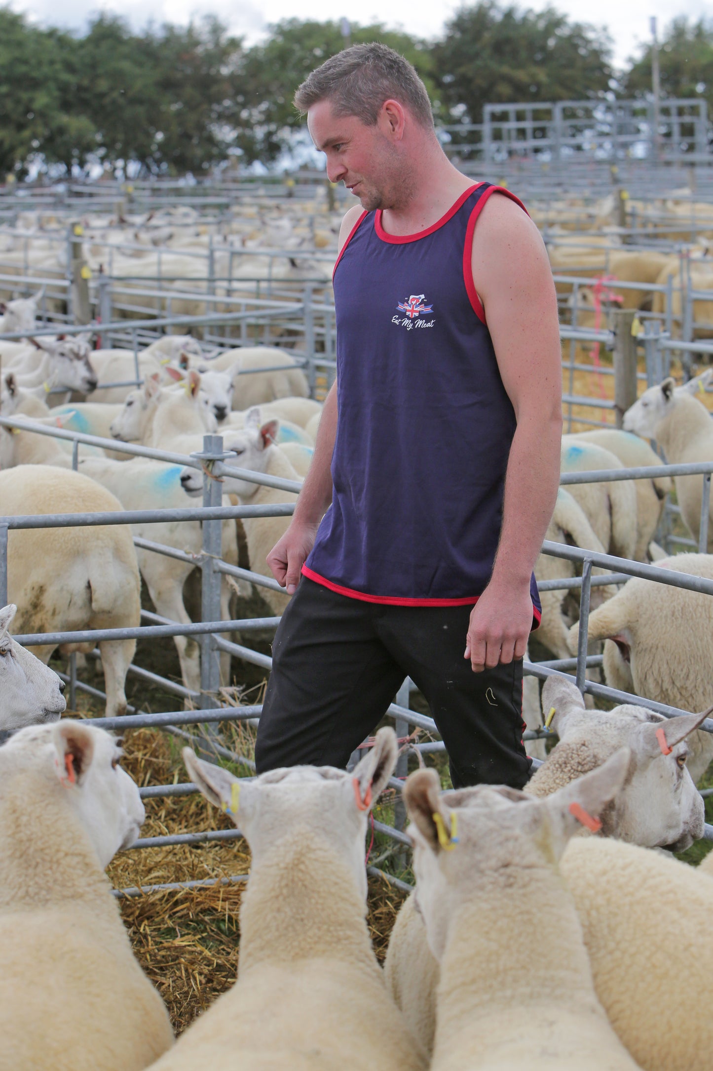 Long-tail shearing singlet